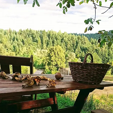 Siedlisko Muchowka Ferienhaus Ciezkowice